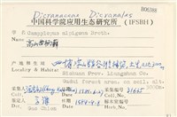 高山曲柄蘚藏品圖，第2張