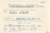 短葉曲柄蘚藏品圖，第2張