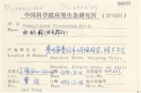 曲柄蘚藏品圖，第2張