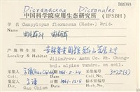 曲柄蘚藏品圖，第2張