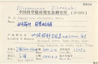 節莖曲柄蘚藏品圖，第2張