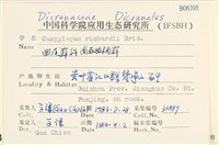 節莖曲柄蘚藏品圖，第2張