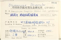 登錄號:B00006398藏品圖，第2張