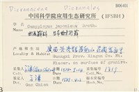 日本曲柄蘚藏品圖，第2張