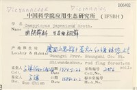 日本曲柄蘚藏品圖，第2張