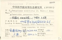 北地曲柄蘚藏品圖，第2張