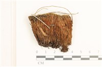 北地曲柄蘚藏品圖，第1張