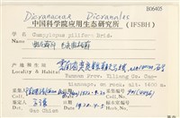 毛尖曲柄蘚藏品圖，第2張