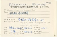 貴州曲柄蘚藏品圖，第2張