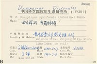 梨蒴曲柄蘚藏品圖，第2張