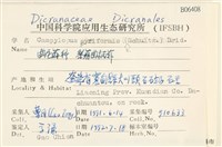 梨蒴曲柄蘚藏品圖，第2張