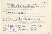 毛尖曲柄蘚藏品圖，第2張