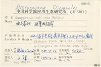 狹葉曲柄蘚藏品圖，第2張