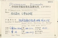 臺灣曲柄蘚藏品圖，第2張