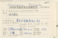 曲尾蘚科藏品圖，第2張