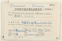 高山狗牙蘚藏品圖，第2張