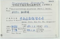 粗毛青毛蘚藏品圖，第2張