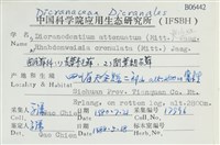 長葉青毛蘚藏品圖，第2張