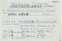 登錄號:B00006443藏品圖，第2張