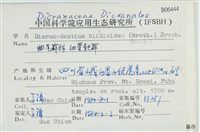 細葉青毛蘚藏品圖，第2張