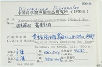 叢葉青毛蘚藏品圖，第2張