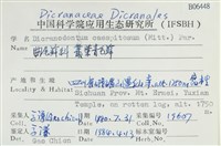 叢葉青毛蘚藏品圖，第2張