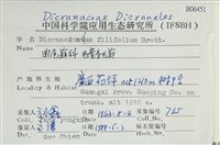 毛葉青毛蘚藏品圖，第2張