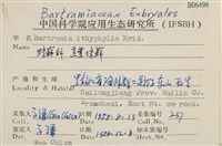 直葉珠蘚藏品圖，第2張