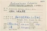 仰葉熱澤蘚藏品圖，第2張