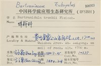 珠蘚科藏品圖，第2張