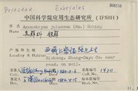 銀蘚藏品圖，第2張