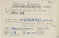 銀蘚藏品圖，第2張