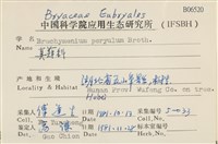 登錄號:B00006520藏品圖，第2張