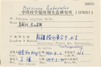 高山真蘚藏品圖，第2張