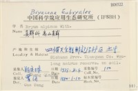 高山真蘚藏品圖，第2張