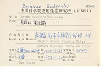 叢生真蘚藏品圖，第2張