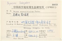 叢生真蘚藏品圖，第2張