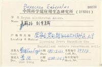 刺葉真蘚藏品圖，第2張