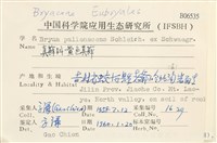 黃色真蘚藏品圖，第2張