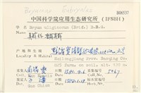 垂蒴真蘚藏品圖，第2張