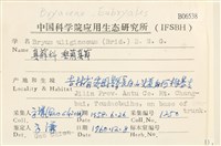 垂蒴真蘚藏品圖，第2張