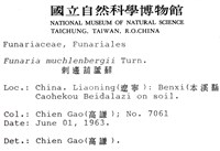 刺邊葫蘆蘚藏品圖，第2張