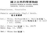 粗台葫蘆蘚藏品圖，第2張