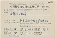 強肋蘚藏品圖，第2張