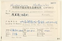 灰果蘚藏品圖，第2張