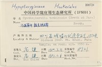 粗齒雉尾蘚藏品圖，第2張