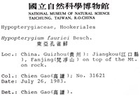 東亞孔雀蘚藏品圖，第2張