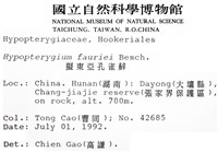 東亞孔雀蘚藏品圖，第2張