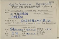 柳葉蘚碩枝亞種藏品圖，第2張