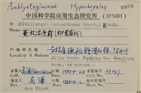 蔓枝濕原蘚藏品圖，第2張